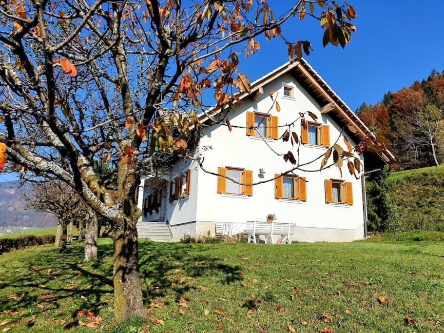 House Pucnk-Beautiful Countryside Vila Zelezniki Exterior foto