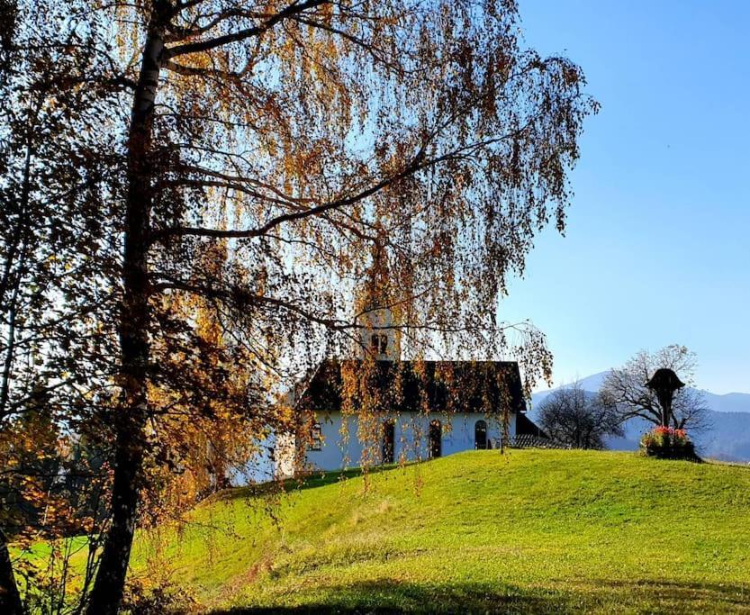 House Pucnk-Beautiful Countryside Vila Zelezniki Exterior foto
