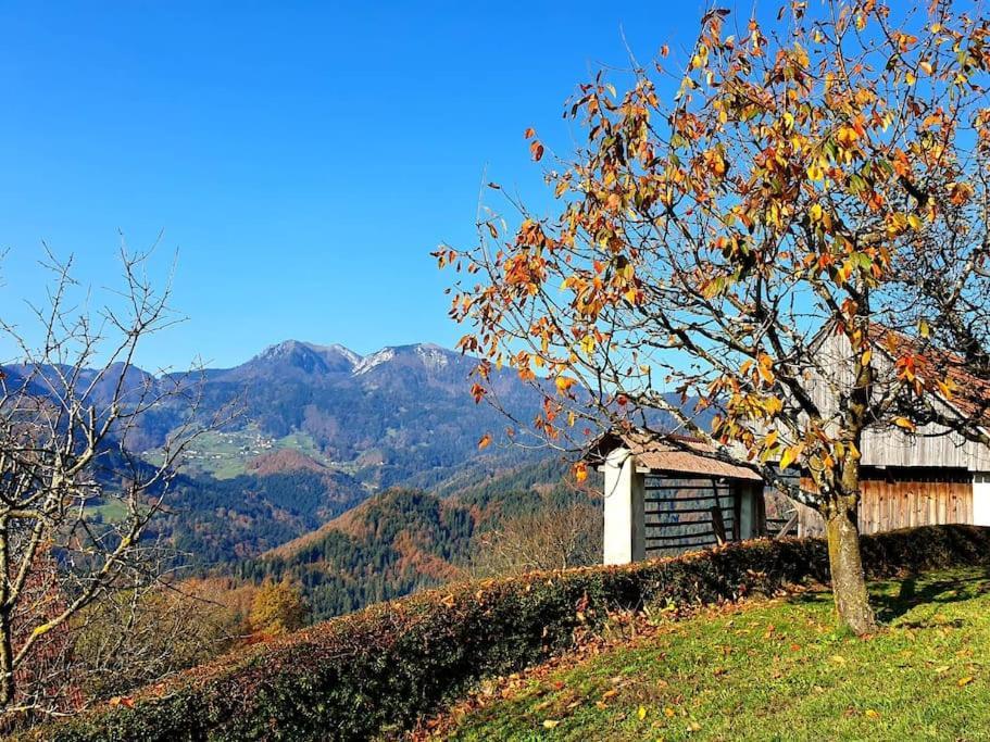 House Pucnk-Beautiful Countryside Vila Zelezniki Exterior foto